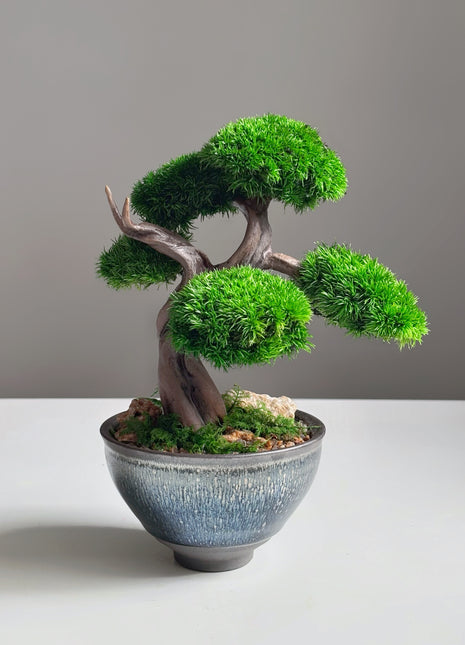 Mini Preserved Moss Bonsai Tree in Blue Ceramic Pot – Handmade Zen Japandi Decor