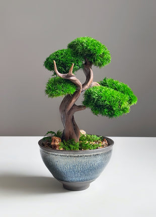 Mini Preserved Moss Bonsai Tree in Blue Ceramic Pot – Handmade Zen Japandi Decor