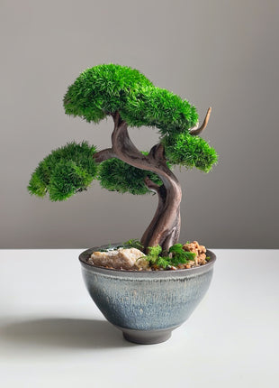 Mini Preserved Moss Bonsai Tree in Blue Ceramic Pot – Handmade Zen Japandi Decor