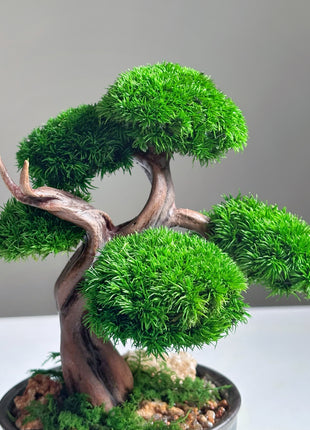 Mini Preserved Moss Bonsai Tree in Blue Ceramic Pot – Handmade Zen Japandi Decor