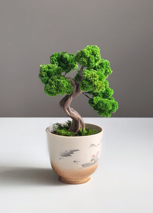 Mini Moss Bonsai Tree – Preserved Zen Decor for Home and Office