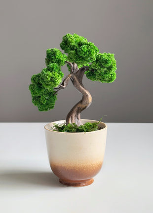 Mini Moss Bonsai Tree – Preserved Zen Decor for Home and Office