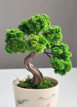 Mini Moss Bonsai Tree – Preserved Zen Decor for Home and Office