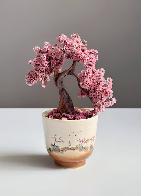 Mini Sakura Bonsai Tree, Preserved Cherry Blossom in Ceramic Pot