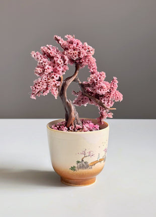 Mini Sakura Bonsai Tree, Preserved Cherry Blossom in Ceramic Pot
