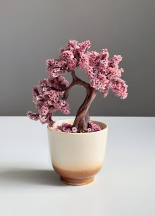 Mini Sakura Bonsai Tree, Preserved Cherry Blossom in Ceramic Pot