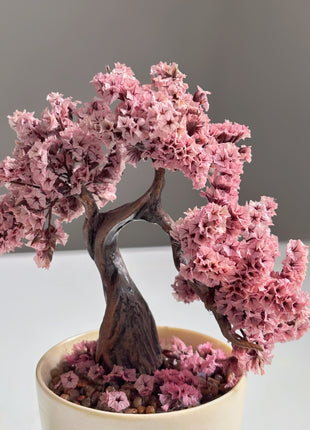 Mini Sakura Bonsai Tree, Preserved Cherry Blossom in Ceramic Pot