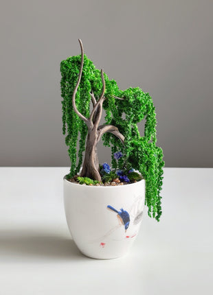 Mini Preserved Moss Willow Bonsai in White Ceramic Pot – Handmade Zen Desk Decor