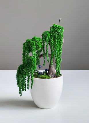Mini Preserved Moss Willow Bonsai in White Ceramic Pot – Handmade Zen Desk Decor