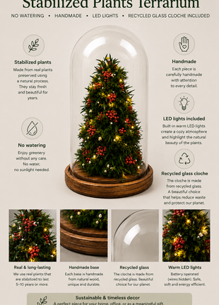 DIY Christmas Tree Kit in Lighted Glass Cloche with Preserved Juniper
