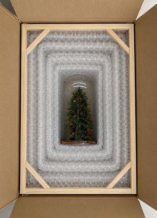 Evergreen Christmas Cloche - Mini Preserved Juniper Tree