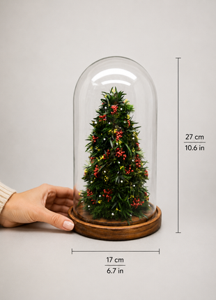 DIY Christmas Tree Kit in Lighted Glass Cloche with Preserved Juniper