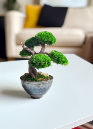 Mini Preserved Moss Bonsai Tree in Blue Ceramic Pot – Handmade Zen Japandi Decor