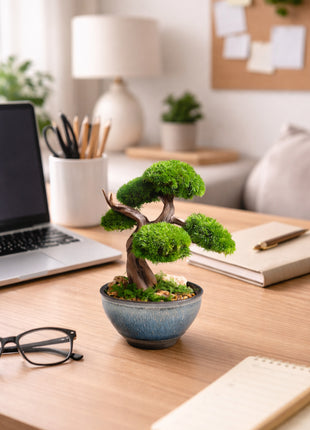 Mini Preserved Moss Bonsai Tree in Blue Ceramic Pot – Handmade Zen Japandi Decor