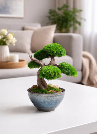 Mini Preserved Moss Bonsai Tree in Blue Ceramic Pot – Handmade Zen Japandi Decor