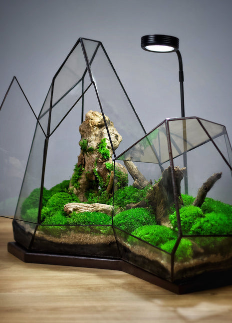 Illuminated Geometric crystal terrarium with lamp 
