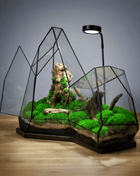 Illuminated Geometric Terrarium with Lamp and Preserved Moss - MagicGardens