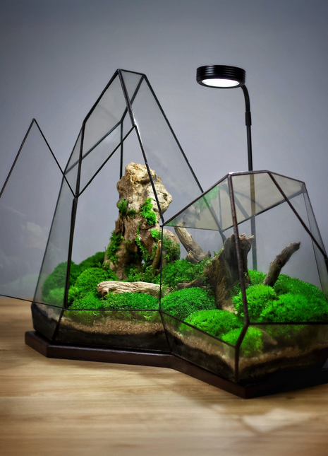 Illuminated Geometric crystal terrarium with lamp 
