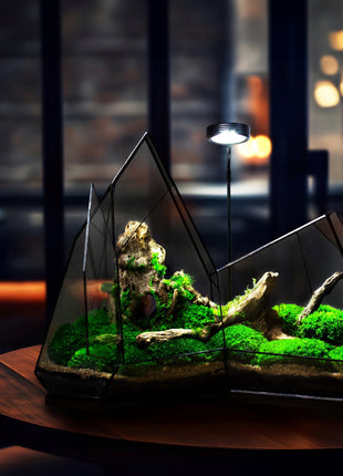 Illuminated crystal terrarium with lamp