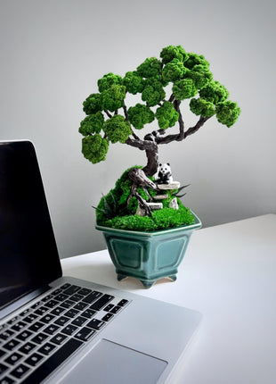 Eco-Friendly Decor Preserved Moss Bonsai