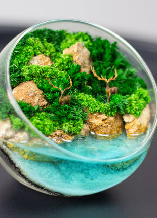 Unique preserved moss terrarium that glows in the dark with horses