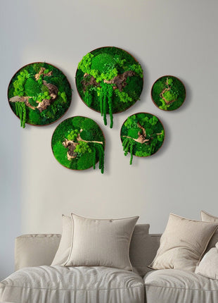 Moss wall decor art Circle with moss Wooden decor handing pictures panel mosswall art home green room decor wood office