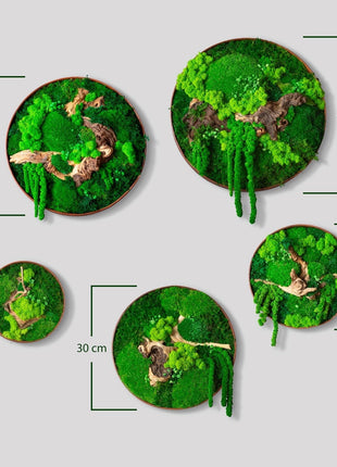 Moss wall decor art Circle with moss Wooden decor handing pictures panel mosswall art home green room decor wood office