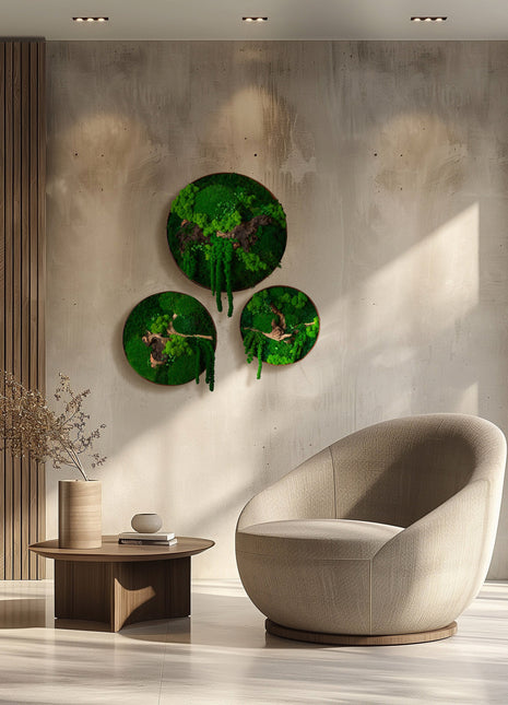 Moss wall decor art Circle with moss Wooden decor handing pictures panel mosswall art home green room decor wood office