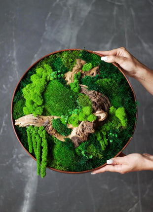 Moss wall decor art Circle with moss Wooden decor handing pictures panel mosswall art home green room decor wood office