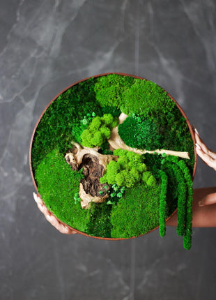 Moss wall decor art Circle with moss Wooden decor handing pictures panel mosswall art home green room decor wood office