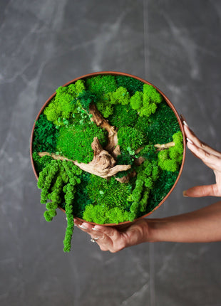 Moss wall decor art Circle with moss Wooden decor handing pictures panel mosswall art home green room decor wood office