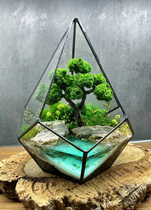 Crystal geometric bonsai tree terrarium with preserved moss