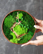 Handcrafted Preserved Moss Wall Art - Natural Greenery Decor - MagicGardens