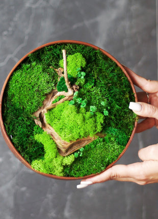 Natural Greenery Decor From Preserved Moss