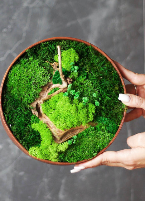 Handcrafted Preserved Moss Wall Art - Natural Greenery Decor - MagicGardens