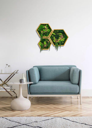Natural Stabilized Moss Frames for Modern Home Wooden Décor