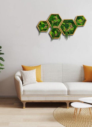 Unique Hexagon Moss Wall Art Set