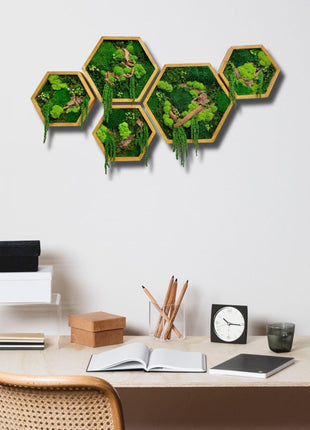 Handmade Hexagon Moss Wall Art Set