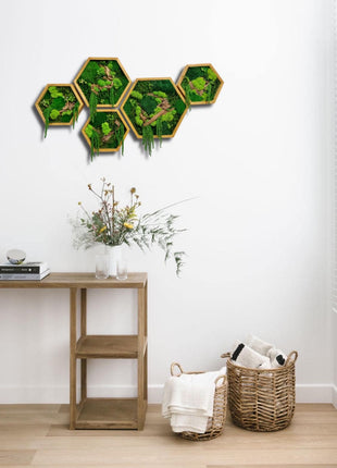 Natural Stabilized Moss Frames for Modern Home Wooden Décor