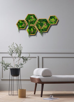 Stabilized Moss Frames for Modern Home Wooden Décor