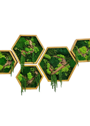 Handcrafted Preserved moss wall art in Geometric Wooden Frame
