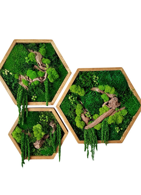 Preserved moss wall art in Geometric Wooden Frame