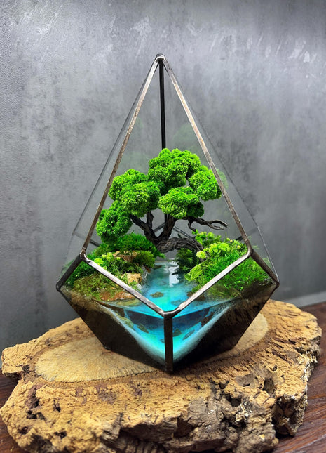 Tessellated glass terrarium with green plants and water on a wooden base against a gray background