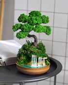 Indoor bonsai with Preserved moss - Handmade bonsai tree on Waterfall desk - MagicGardens