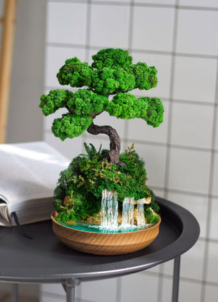 Perfect  Bonsai tree with stabilized plants 