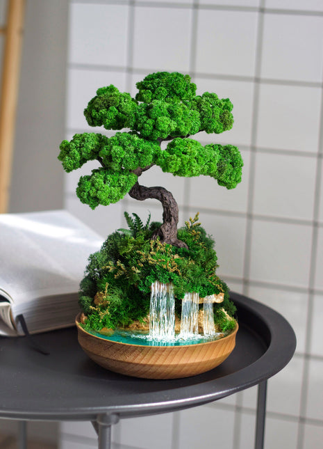 Perfect  Bonsai tree with stabilized plants 