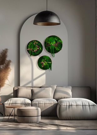 Pictures from preserved moss in home decor