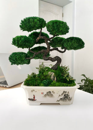 bonsai tree from preserved moss