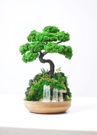 Preserved Bonsai tree with stabilized plants and moss