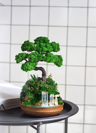 Preserved Bonsai tree with waterfall, stabilized plants and moss
